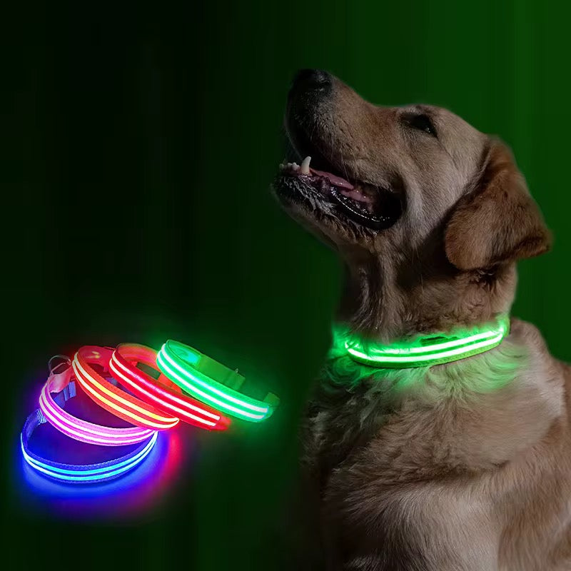 LED Glow Dog Collar with Real-Time GPS App Tracker – Safety + Location