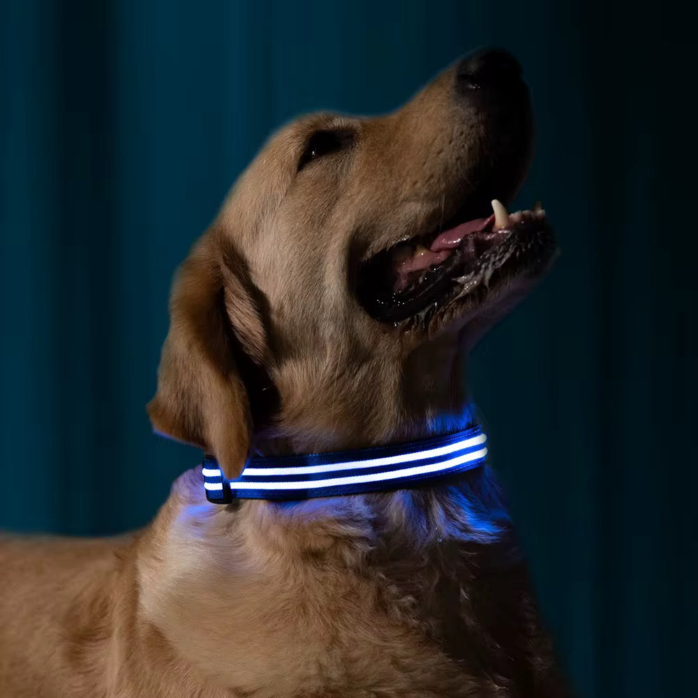 LED Glow Dog Collar with Real-Time GPS App Tracker – Safety + Location