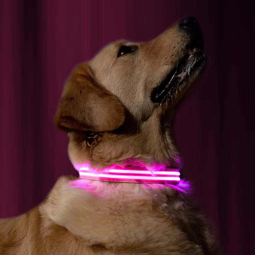 LED Glow Dog Collar with Real-Time GPS App Tracker – Safety + Location
