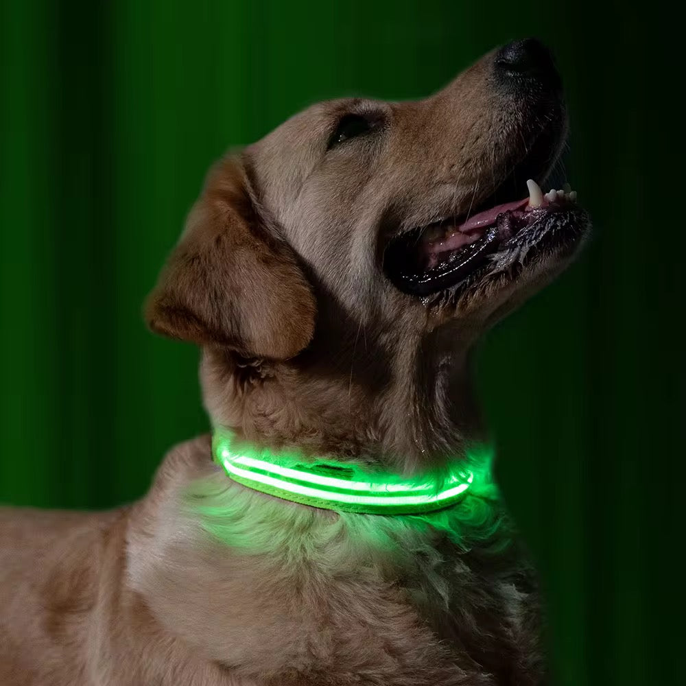 LED Glow Dog Collar with Real-Time GPS App Tracker – Safety + Location