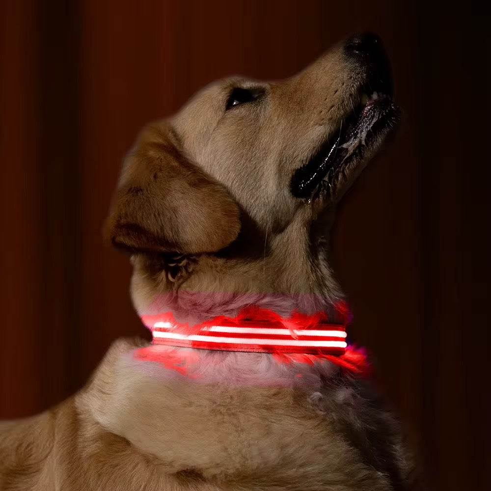 LED Glow Dog Collar with Real-Time GPS App Tracker – Safety + Location